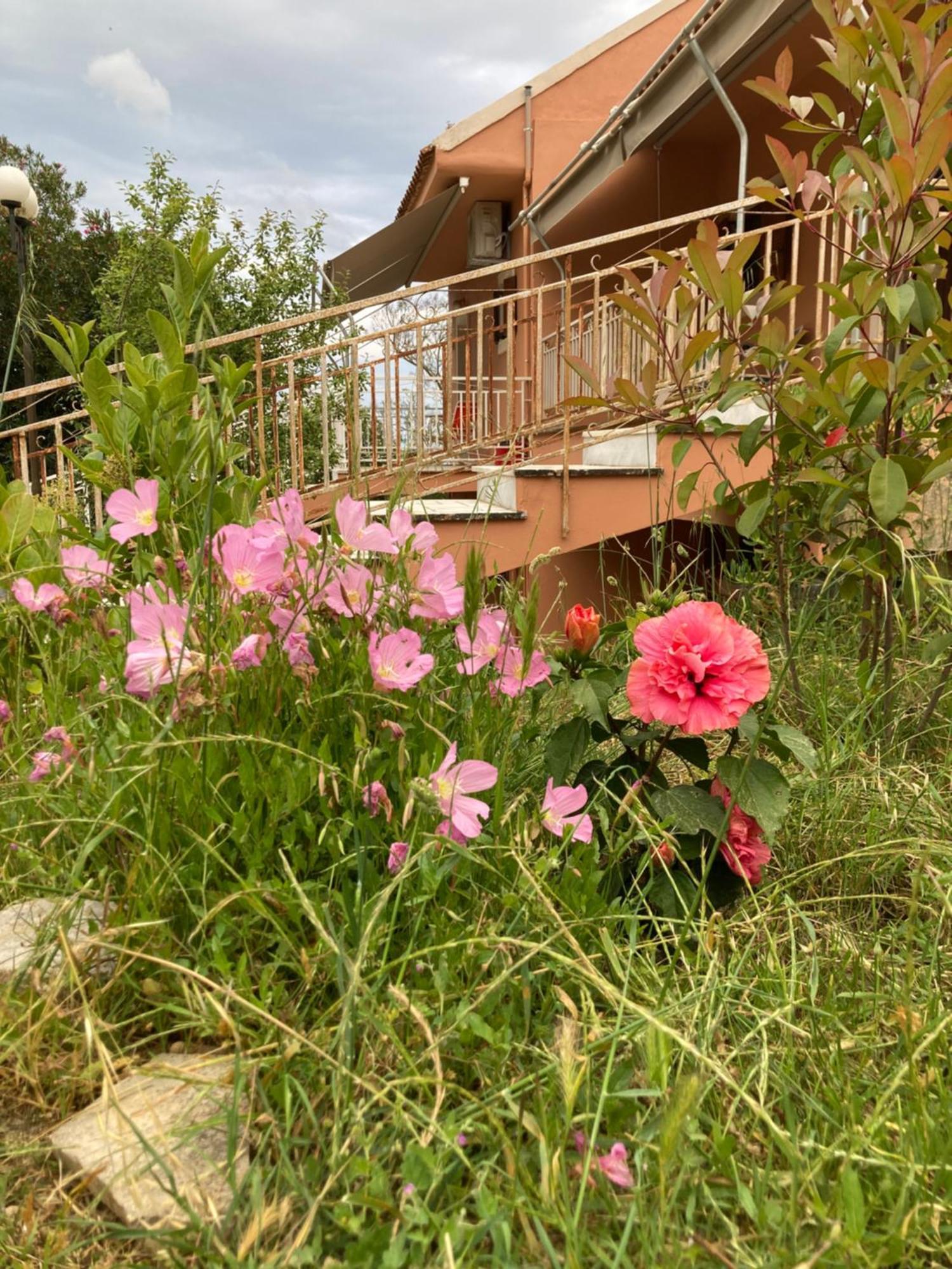 Kokkini Peach Budget Kokkínion Exterior foto